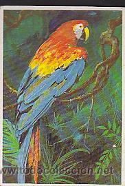 Coleccionismo cromos antiguos: COLECCION COMPLETA 12 CROMOS DUNKIN LAS AVES - Foto 1