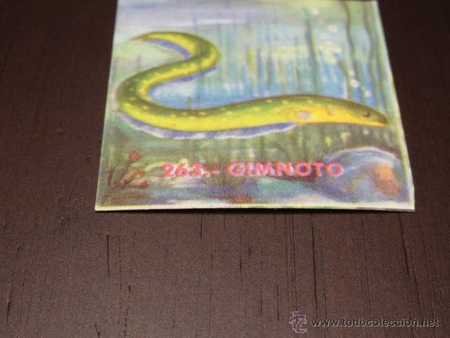 Colecionismo Cromos antigos: MUNDO ZOOLOGICO CROMO 263 - DESPEGADO - EDICIONES FHER 1965