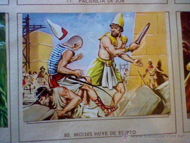 Colecionismo Cromos antigos: cromo recuperado ventanilla sup del album Antiguo Testamento Ferma 1968 n&ordm; 80  MOISES