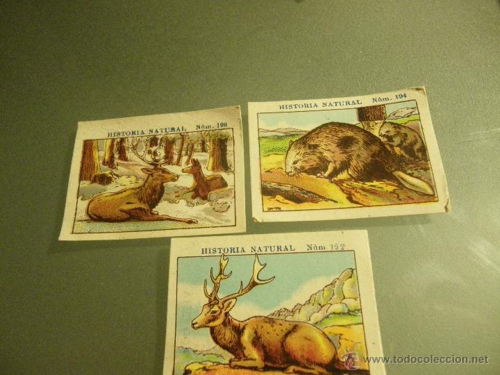 Coleccionismo Cromos antiguos: 3 CROMOS DE CHOCOLATES JUNCOSA. H&ordf; NAT. Miden: 4,5 cm por 3,3 cm