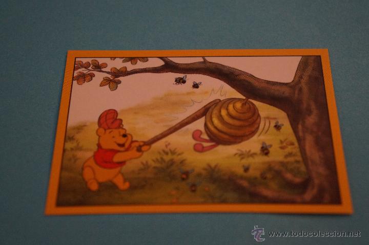 Coleccionismo cromos antiguos: CROMO DE:WINNIE THE POOH,(SIN PEGAR),N&ordm;109,A&Ntilde;O ????,DEL ALBUM,WINNIE THE POOH,DE PANINI