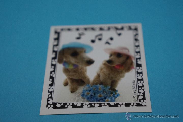 Colecionismo Cromos antigos: CROMO DE:MUNDO CANINO,(SIN PEGAR),N&ordm;78,A&Ntilde;O 2008,DEL ALBUM,MUNDO CANINO,DE PANINI