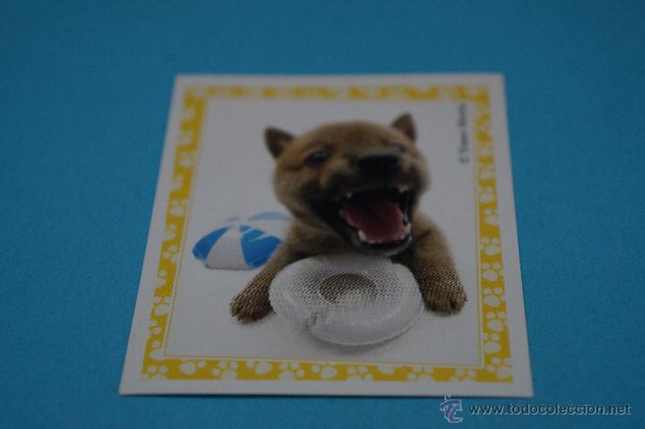 Colecionismo Cromos antigos: CROMO DE:MUNDO CANINO,(SIN PEGAR),N&ordm;88,A&Ntilde;O 2008,DEL ALBUM,MUNDO CANINO,DE PANINI