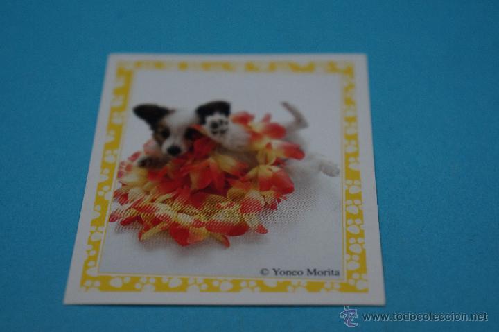 Colecionismo Cromos antigos: CROMO DE:MUNDO CANINO,(SIN PEGAR),N&ordm;89,A&Ntilde;O 2008,DEL ALBUM,MUNDO CANINO,DE PANINI