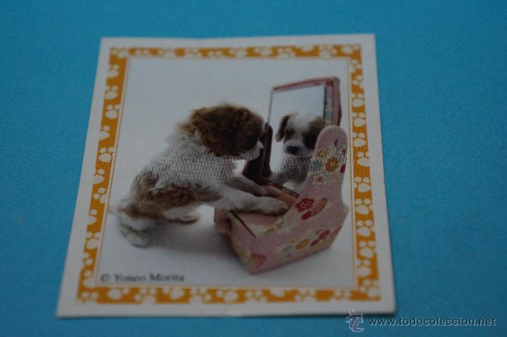 Colecionismo Cromos antigos: CROMO DE:MUNDO CANINO,(SIN PEGAR),N&ordm;100,A&Ntilde;O 2008,DEL ALBUM,MUNDO CANINO,DE PANINI