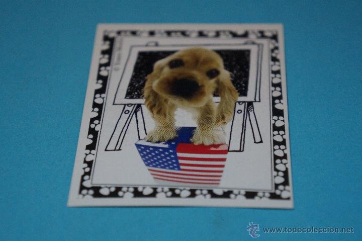Colecionismo Cromos antigos: CROMO DE:MUNDO CANINO,(SIN PEGAR),N&ordm;118,A&Ntilde;O 2008,DEL ALBUM,MUNDO CANINO,DE PANINI