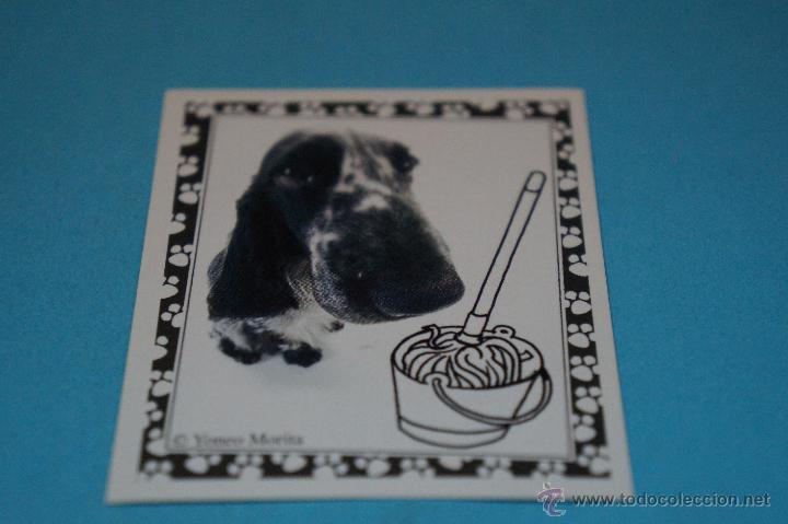 Colecionismo Cromos antigos: CROMO DE:MUNDO CANINO,(SIN PEGAR),N&ordm;120,A&Ntilde;O 2008,DEL ALBUM,MUNDO CANINO,DE PANINI
