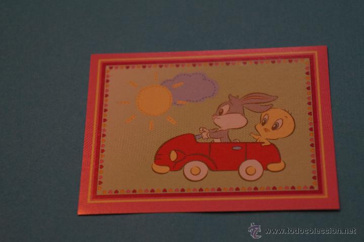Coleccionismo cromos antiguos: CROMO DE:BABY LOONEY TUNES,(SIN PEGAR),N&ordm;100,A&Ntilde;O 2008,DEL ALBUM,BABY LOONEY TUNES,DE PANINI