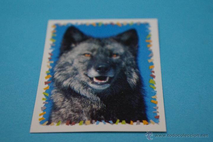 Sammeln alte Sammelbilder: CROMO DE:ANIMALES DISNEY,(SIN PEGAR),N&ordm;60,A&Ntilde;O ????,DEL ALBUM,ANIMALES DISNEY,DE PANINI