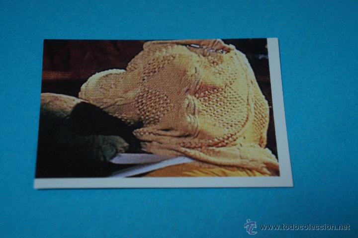 Coleccionismo cromos antiguos: CROMO DE:DINOSAURS DISNEY,(SIN PEGAR),N&ordm;43,A&Ntilde;O ????,DEL ALBUM,DINOSAURS DISNEY,DE PANINI