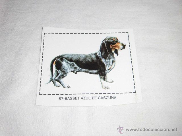 Colecionismo Cromos antigos: CROMO N&ordm; 87.-BASSET AZUL DE GASCU&Ntilde;A ALBUM CIUDADANO CAN
