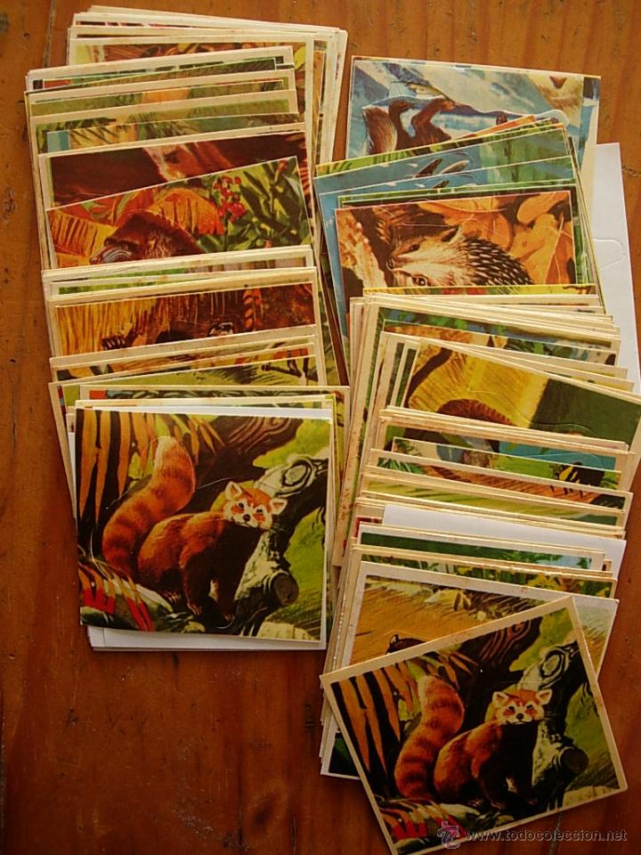 Coleccionismo cromos antiguos: LOTE DE 122 CROMOS DIDEC DE ANIMALES - Foto 1