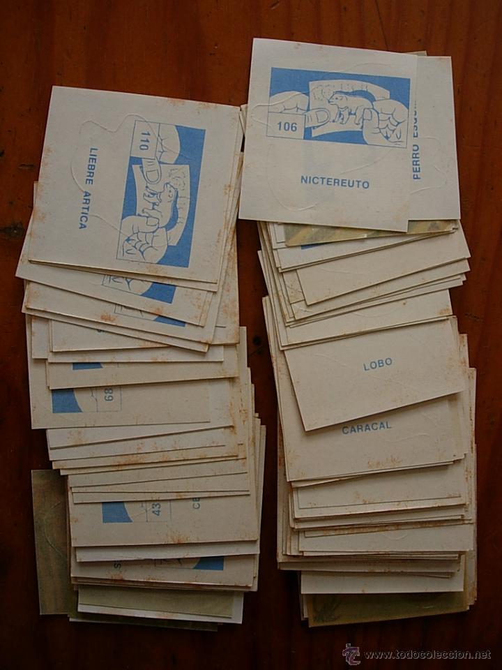 Coleccionismo cromos antiguos: LOTE DE 122 CROMOS DIDEC DE ANIMALES - Foto 2