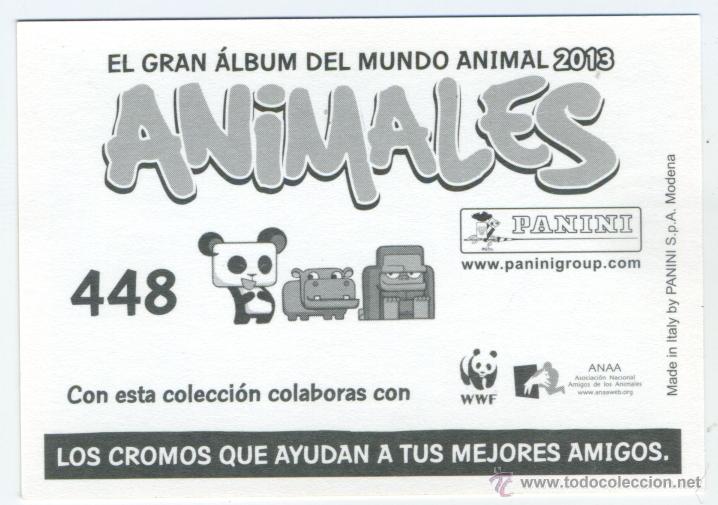 Coleccionismo cromos antiguos: CROMO ANIMALES 2013 N&ordm; 448 - PANINI - - Foto 2