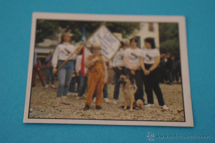 Coleccionismo cromos antiguos: CROMO DE:ANIMALES DOMESTICOS,(SIN PEGAR),N&ordm;144,A&Ntilde;O 1988,DEL ALBUM,ANIMALES DOMESTICOS,DE PANINI