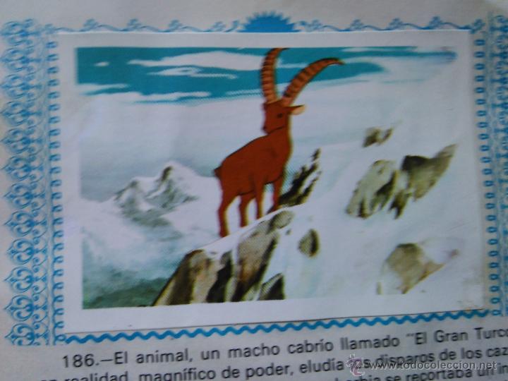 Coleccionismo cromos antiguos: heidi fher 186 - Foto 1