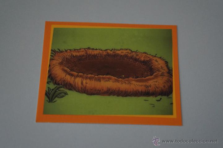 Coleccionismo Cromos antiguos: CROMO DE:ANGRY BIRDS,(SIN PEGAR),N&ordm;21,A&Ntilde;O 2012,DEL ALBUM,ANGRY BIRDS,DE E-MAX
