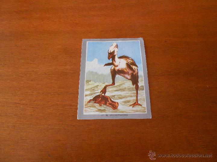 Coleccionismo cromos antiguos: CROMO VIDA Y COLOR N&ordm; 17 - Foto 1