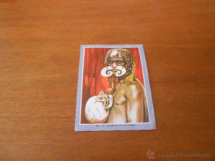 Coleccionismo cromos antiguos: CROMO VIDA Y COLOR N&ordm; 367 - Foto 1
