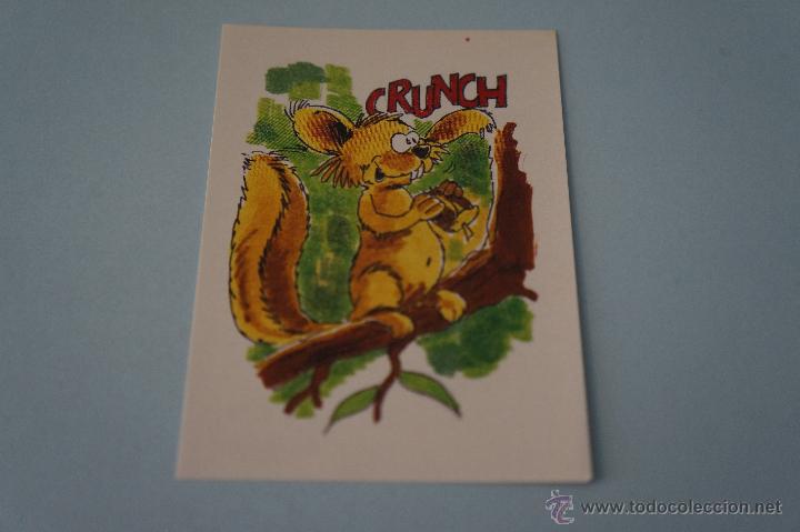 Colecionismo Cromos antigos: CROMO DE:FLU 1,(SIN PEGAR),N&ordm;146,A&Ntilde;O ????,DEL ALBUM,FLU 1,DE STICKLINE