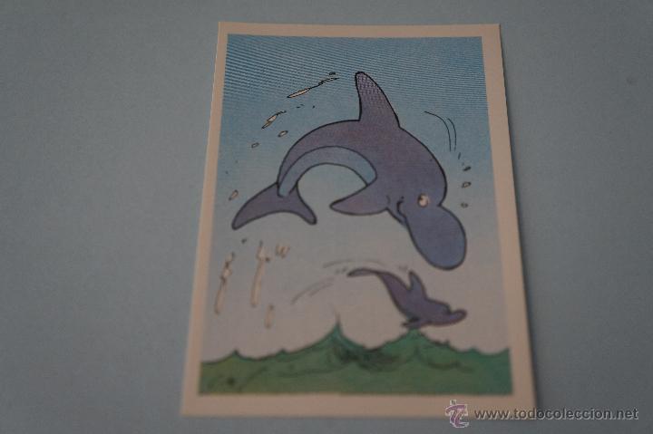 Colecionismo Cromos antigos: CROMO DE:FLU 1,(SIN PEGAR),N&ordm;151,A&Ntilde;O ????,DEL ALBUM,FLU 1,DE STICKLINE