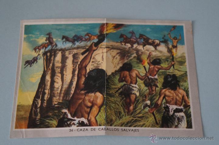 Coleccionismo cromos antiguos: CROMO DE:VIDA Y COLOR 2 MEDIANO,(DESPEGADO),N&ordm;34,A&Ntilde;O 1969,DEL ALBUM,VIDA Y COLOR 2 MEDIANO