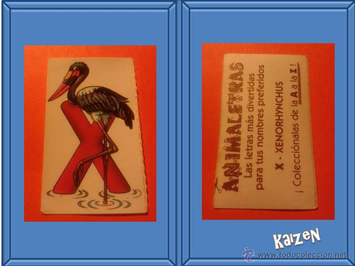 Sammeln alte Sammelbilder: CROMO BOLLYCAO FAUNA EN PELIGRO ANIMALETRAS 1995: X