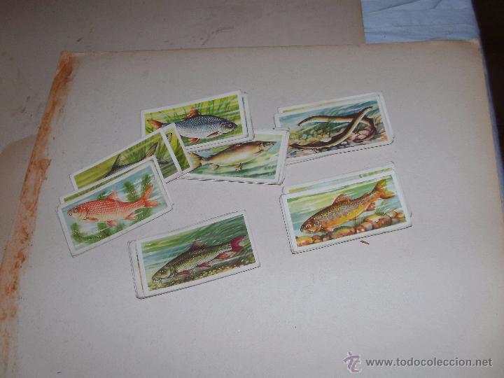Coleccionismo cromos antiguos: CROMOS INGLESES - LOTE - - Foto 1