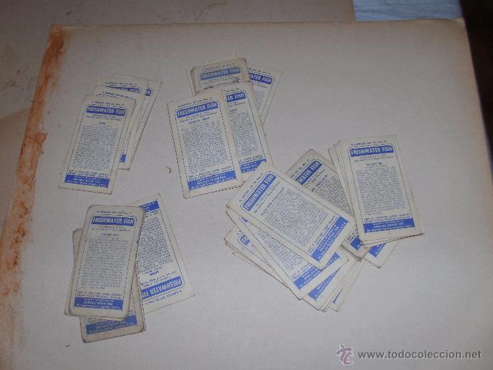 Coleccionismo cromos antiguos: CROMOS INGLESES - LOTE - - Foto 2