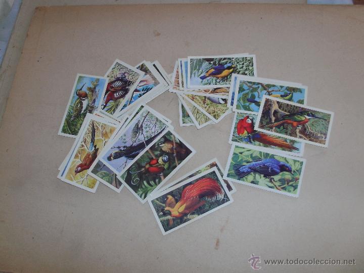 Coleccionismo cromos antiguos: CROMOS INGLESES - LOTE - - Foto 1