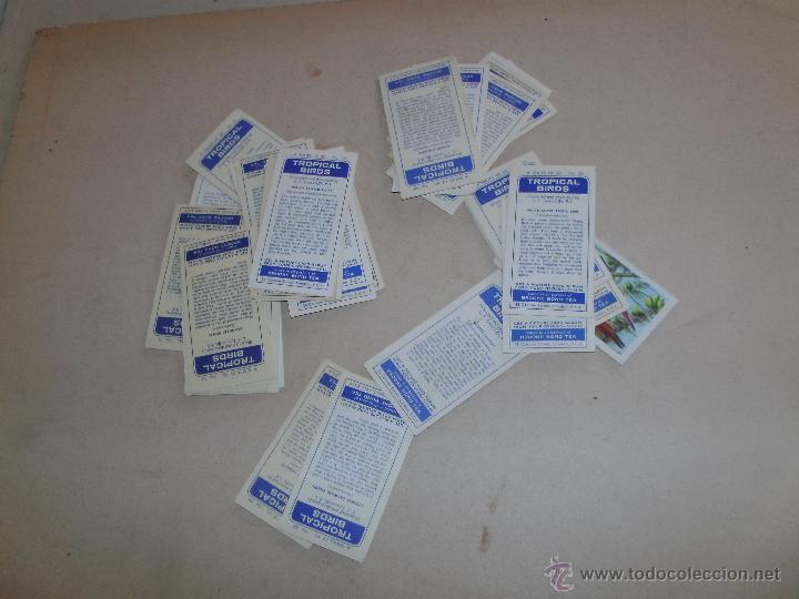 Coleccionismo cromos antiguos: CROMOS INGLESES - LOTE - - Foto 2