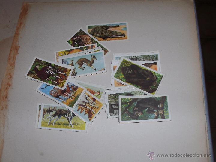 Coleccionismo cromos antiguos: CROMOS INGLESES - LOTE - - Foto 1
