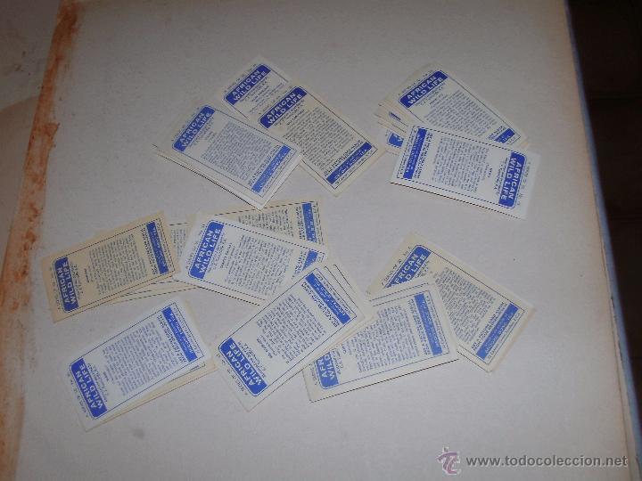 Coleccionismo cromos antiguos: CROMOS INGLESES - LOTE - - Foto 2
