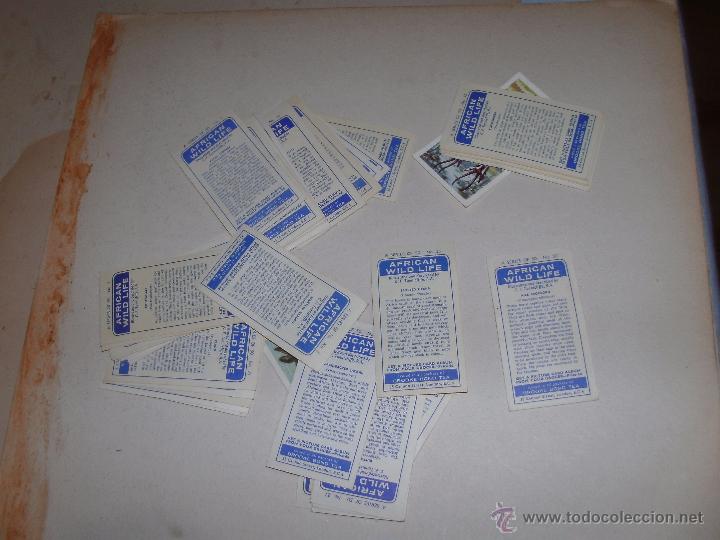 Coleccionismo cromos antiguos: CROMOS INGLESES - LOTE - - Foto 2