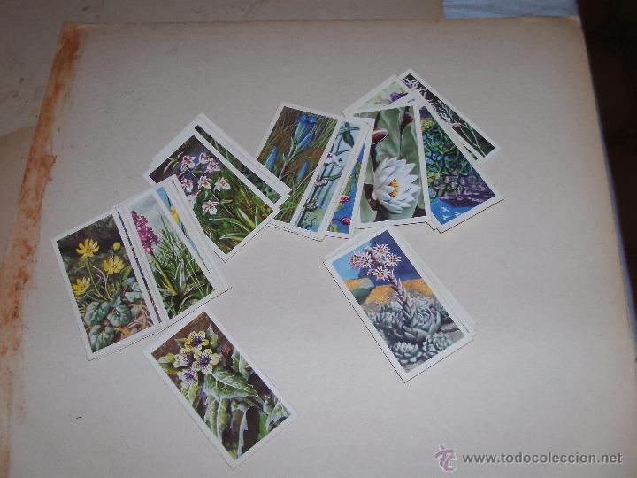 Coleccionismo cromos antiguos: CROMOS INGLESES - LOTE - - Foto 1