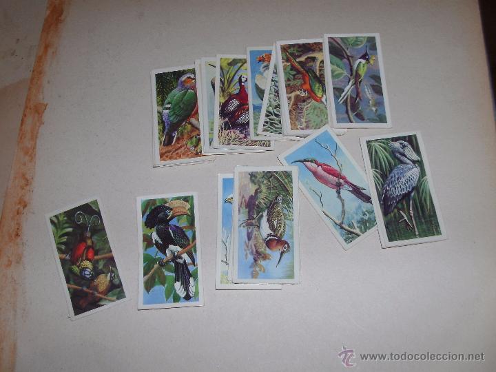 Coleccionismo cromos antiguos: CROMOS INGLESES - LOTE - - Foto 1
