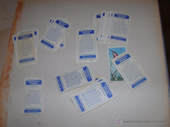 Coleccionismo cromos antiguos: CROMOS INGLESES - LOTE - - Foto 2