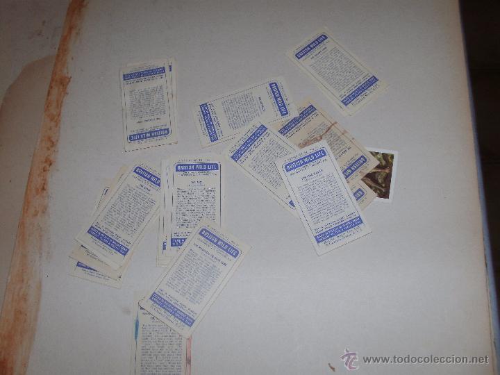 Coleccionismo cromos antiguos: CROMOS INGLESES - LOTE - - Foto 2