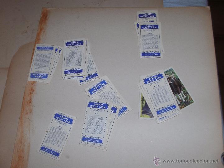 Coleccionismo cromos antiguos: CROMOS INGLESES - LOTE - - Foto 2