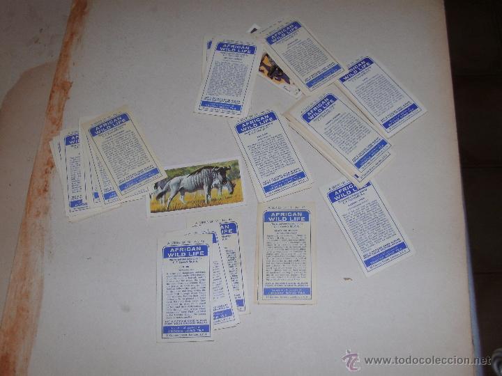 Coleccionismo cromos antiguos: CROMOS INGLESES - LOTE - - Foto 2