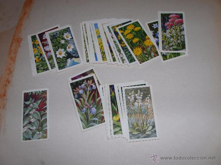 Coleccionismo cromos antiguos: CROMOS INGLESES - LOTE - - Foto 1