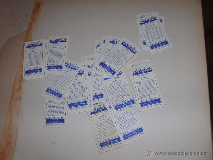 Coleccionismo cromos antiguos: CROMOS INGLESES - LOTE - - Foto 2
