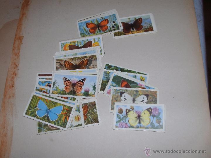 Coleccionismo cromos antiguos: CROMOS INGLESES - LOTE - - Foto 1
