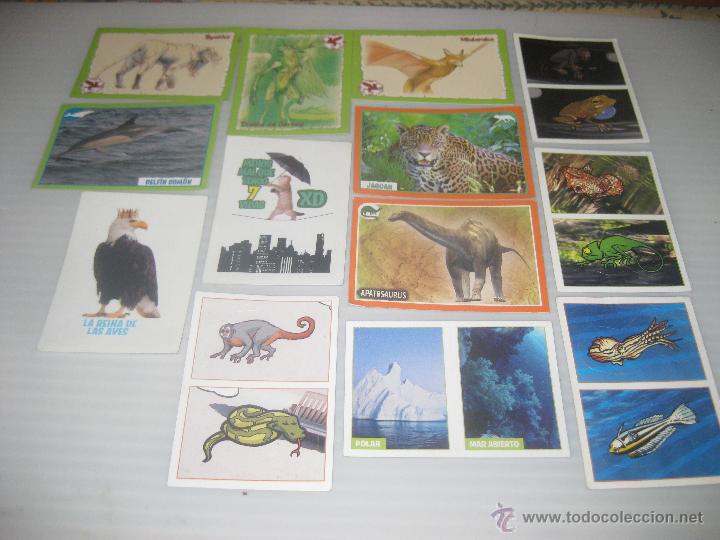 Coleccionismo cromos antiguos: 13 Animales 2012 - Foto 1
