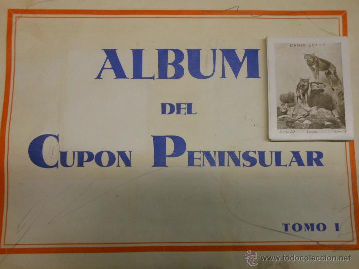 Colecionismo Cromos antigos: 40 CROMOS SUELTOS DEL ALBUM DEL CUPON PENINSULAR 1932 SERIE 42 44 48 50 MAMIFEROS ANIMALES CROMO