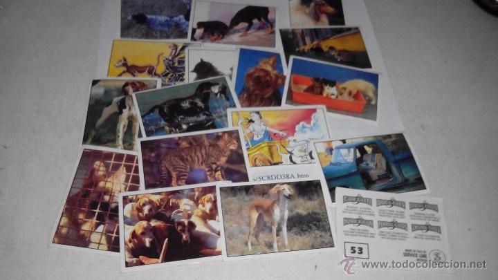 Coleccionismo cromos antiguos: PERROS Y GATOS - Foto 1