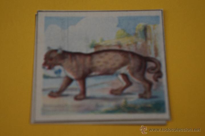 Collectionnisme Cartes &agrave; collectionner anciennes: CROMO DE PUMA SIN PEGAR N&ordm; 3 ENCICLOPEDIA CULTURAL DE CHICOS A&Ntilde;OS 40