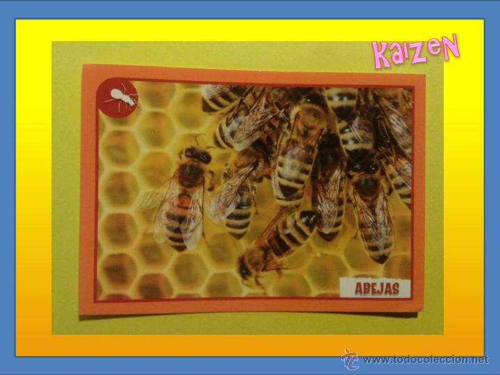 Coleccionismo cromos antiguos: CROMO DE LA COLECCCION: ANIMALES 2012, DE PANINI. N&ordm; 80 - Foto 1