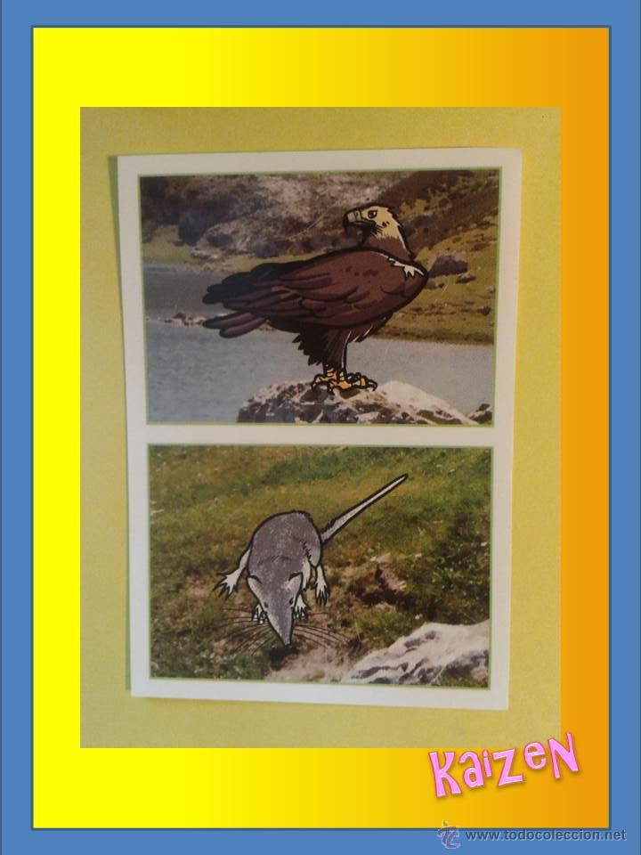 Coleccionismo cromos antiguos: CROMO DE LA COLECCCION: ANIMALES 2012, DE PANINI. N&ordm; 357 a Y b - Foto 1
