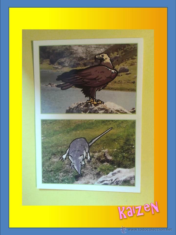 Coleccionismo cromos antiguos: CROMO DE LA COLECCCION: ANIMALES 2012, DE PANINI. N&ordm; 357 a Y b - Foto 1